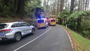 Black Spur crash