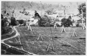 Healesville’s history in hops