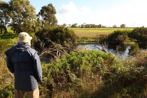 Warrigal Creek doco at the Memo