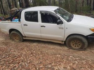 Trail sabotaged by spikes