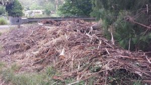 Green waste dumped in Healesville