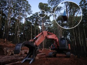 Protests delay bushfire battle