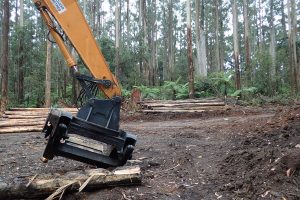 Timber Release Plan nine months late
