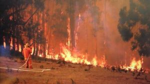 CFA warns no burn offs