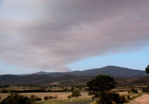 Burn offs in Upper Yarra under control