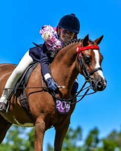 11 year old takes top prize at show horse event
