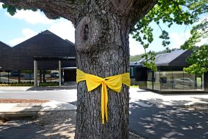 Bushfires museum input