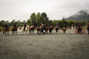 Pony Club jumping with joy for new arena