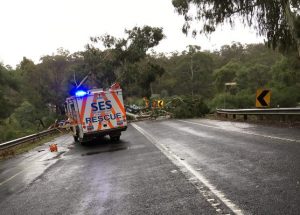 SES clears tree blocking Maroondah Highway