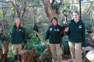 Sanctuary says thanks to volunteers