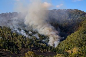 Community input needed for bushfire museum