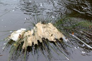 Mysterious foam spotted in Yarra River