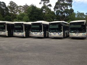 Bus drivers strike for pay