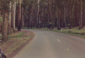 Toolangi community planning