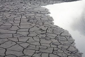 Push for climate emergency declaration