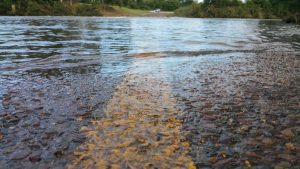 Weekend flood warning