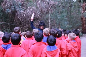 Litter tracking project launches in Healesville