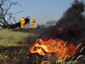 Fire evacuation exercise in Powelltown