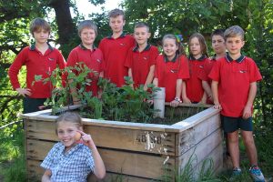 School opens sustainability hub