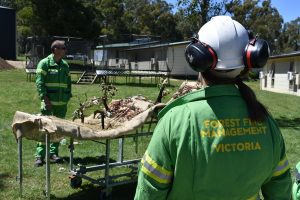 Firefighter recruits begin intensive training