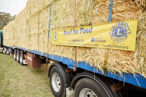 The Need for Feed