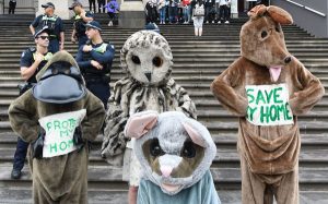 Parliament protest over Warby logging