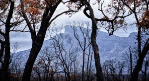 Community views on fire season
