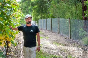 Wine industry in ‘great position’ to overcome Covid-19