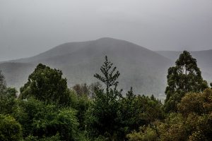 A clearer picture for the valley