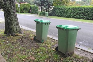 Bin collections during Covid-19