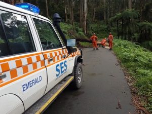 Yarra Ranges bears brunt of cold front