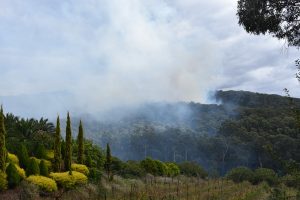 Forestry association calls for change in fire tactics
