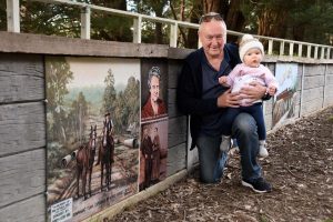 Wandin trail murals