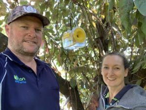 The Yarra Valley’s fruit fly future