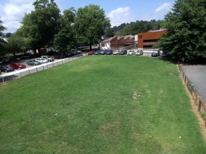 Seeing green over market space