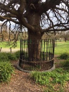 ‘Senseless damage’ to historical site