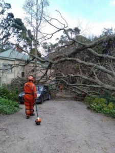 Wild weather continues