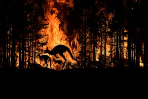 Bushfire prep heats up