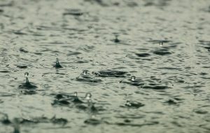Dry start to spring