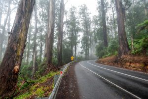 Wet weather halts works
