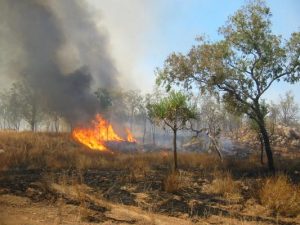 World-first bushfire resilience star rating project better protect lives and properties