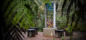 Uncovering the history of Toolangi and Castella