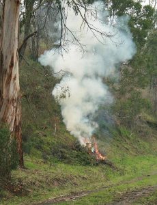 Residents urged to take care burning off