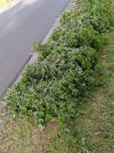 Yarra Ranges hard rubbish and bundled branch collection