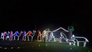 Lighting up our life