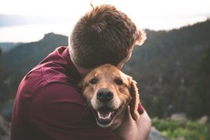 Top hot spots for pet lovers revealed