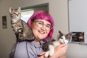 Free desexing program at Animal Aid