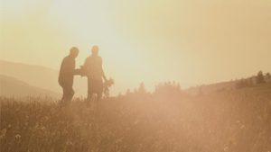 Helping horticulture businesses have a safe harvest
