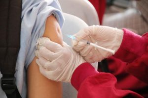 Healesville Sanctuary pop up kids vax clinics now open to all