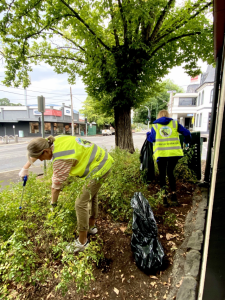Business Clean Up Australia day in Healesville